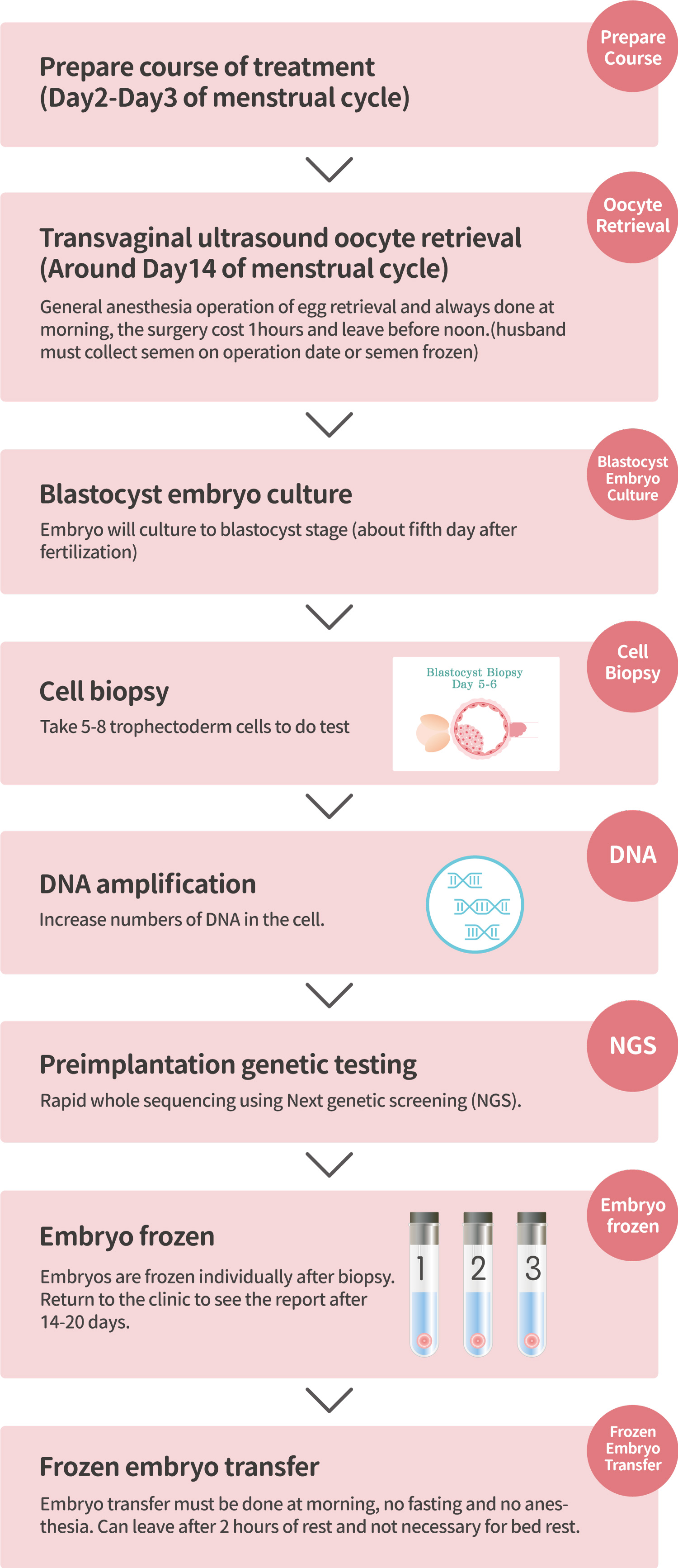胚胎著床前如色體篩檢(PGT-A)流程說明
