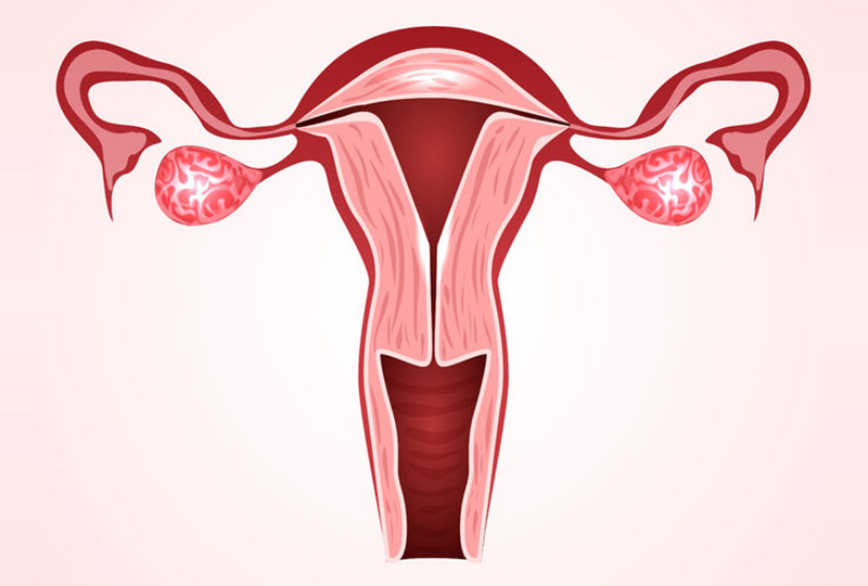 女性不孕症診斷與治療