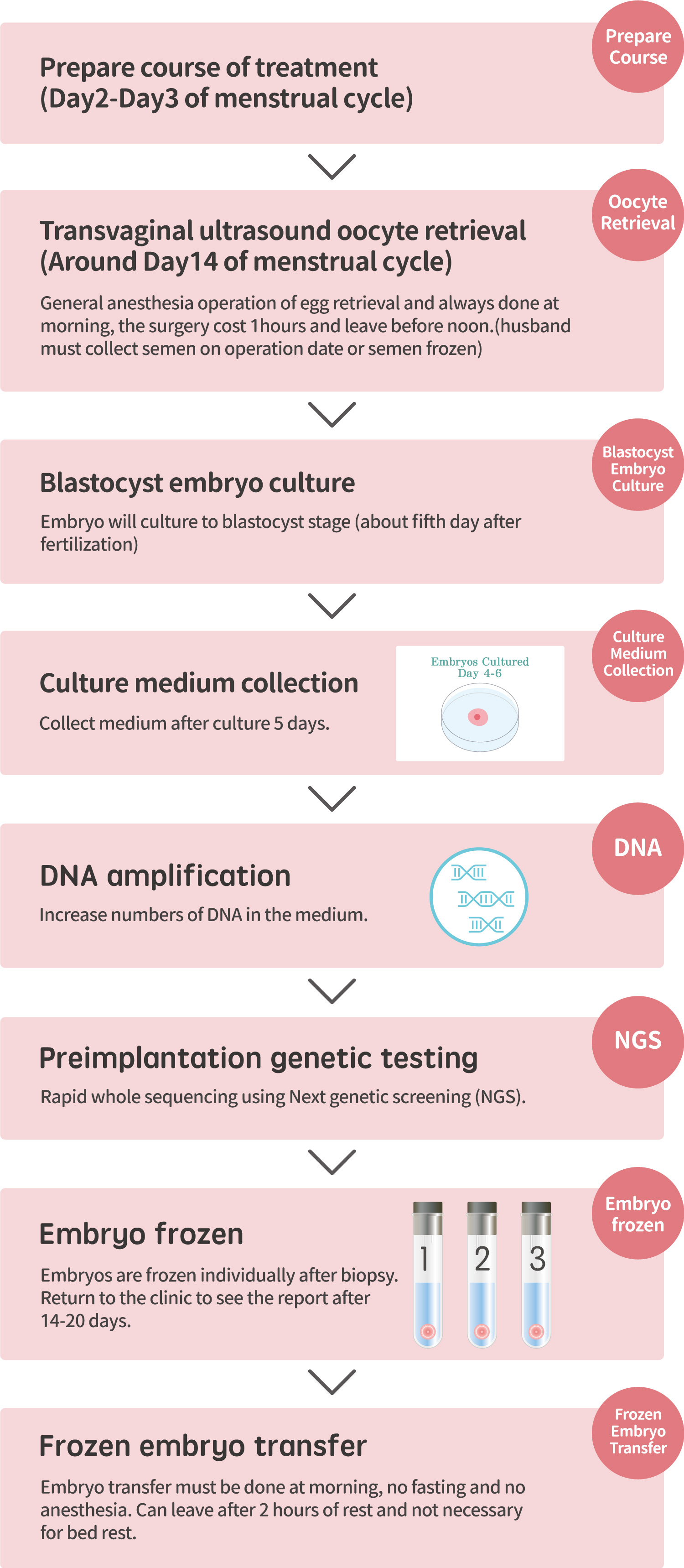 Pre Implantation Genetic Testing For Aneuploidy Pgt A An An Ivf Center Anan Ivf 5594